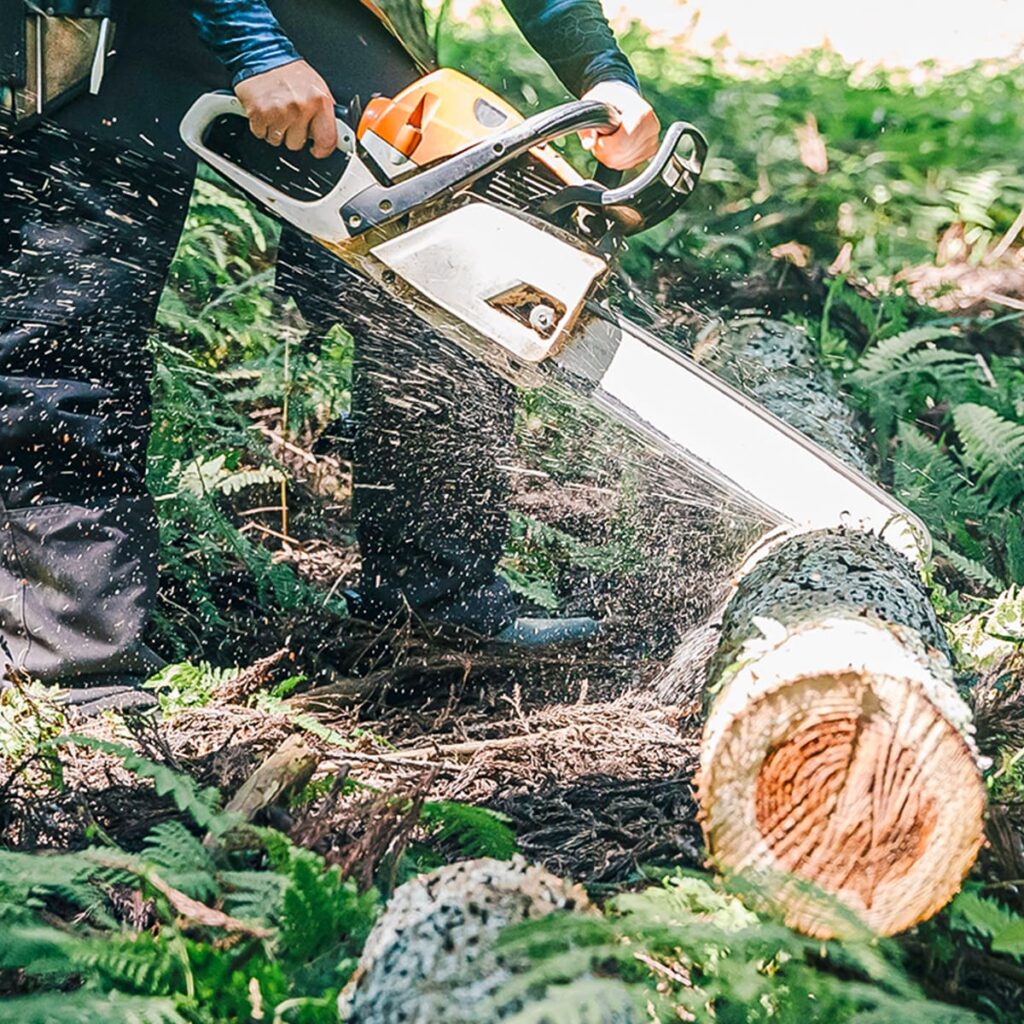チェーンソーで木を伐採している様子