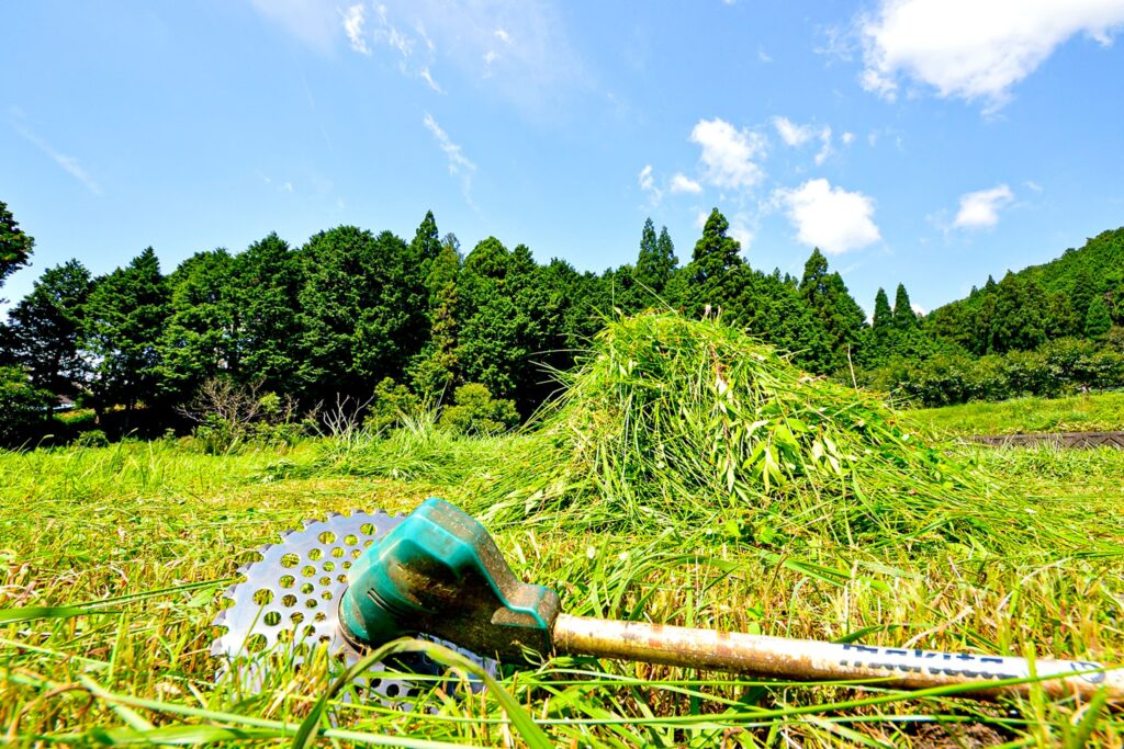 草刈りイメージ